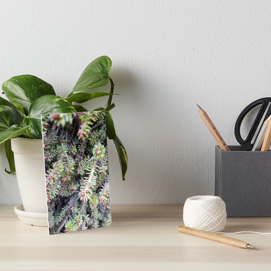 evergreen ever so close Art Board Print