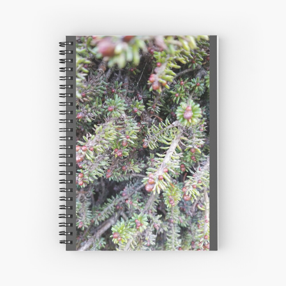 evergreen ever so close Spiral Notebook