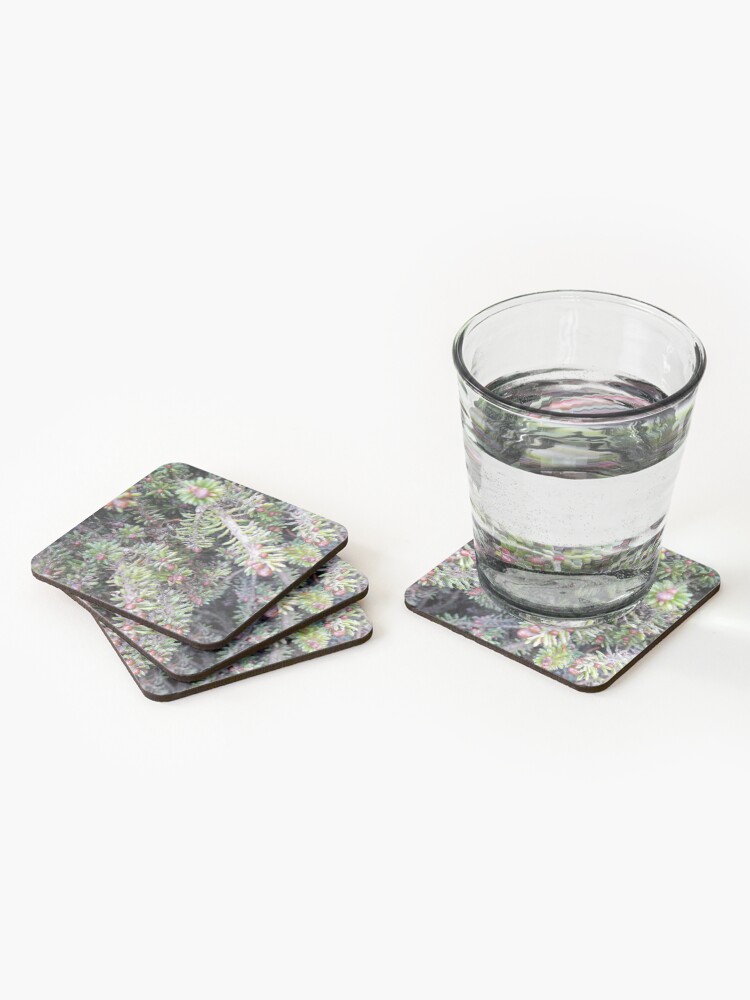 Alternate view of evergreen ever so close Coasters (Set of 4)