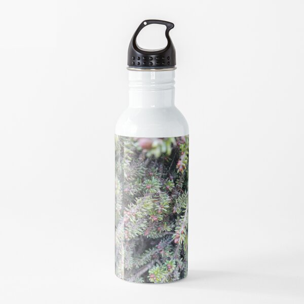 evergreen ever so close Water Bottle