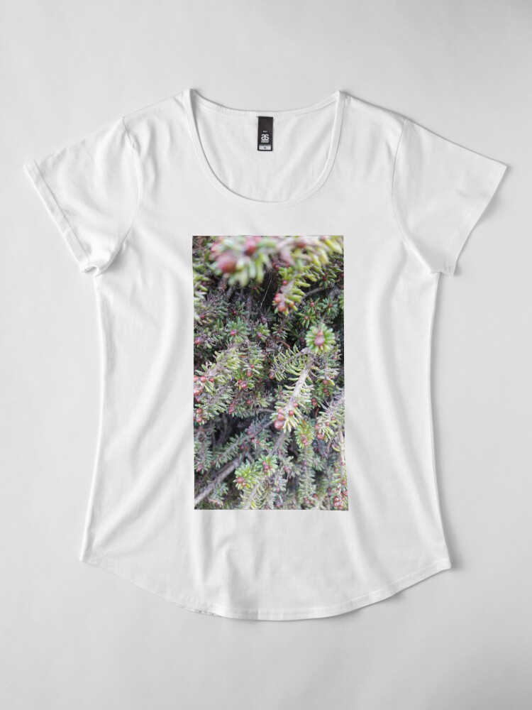 Alternate view of evergreen ever so close Premium Scoop T-Shirt