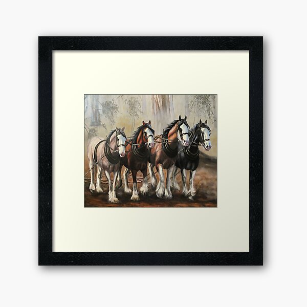 "Clydesdale Horses" Framed Art Print for Sale by kjpp Redbubble