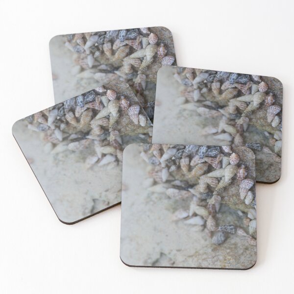 Item preview, Sealife designed and sold by essenceofmaya.