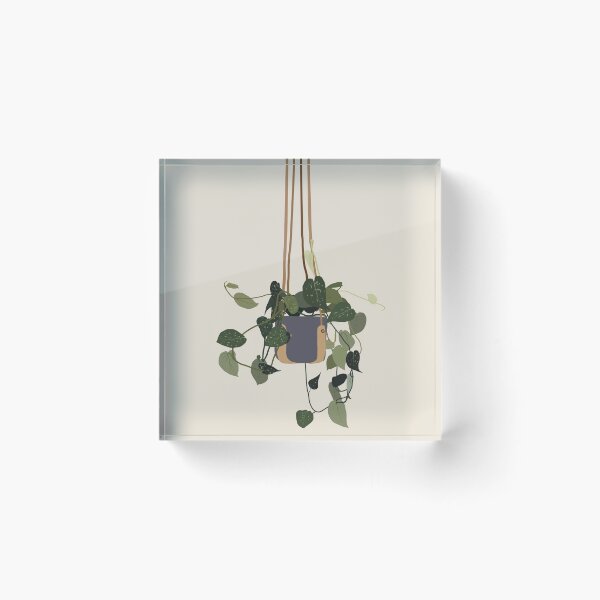 Item preview, Hanging Heartleaf Plant designed and sold by melmin-studio.