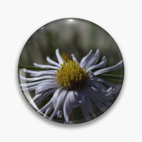 Item preview, Daisy In The Dunes designed and sold by Ben Loveday.