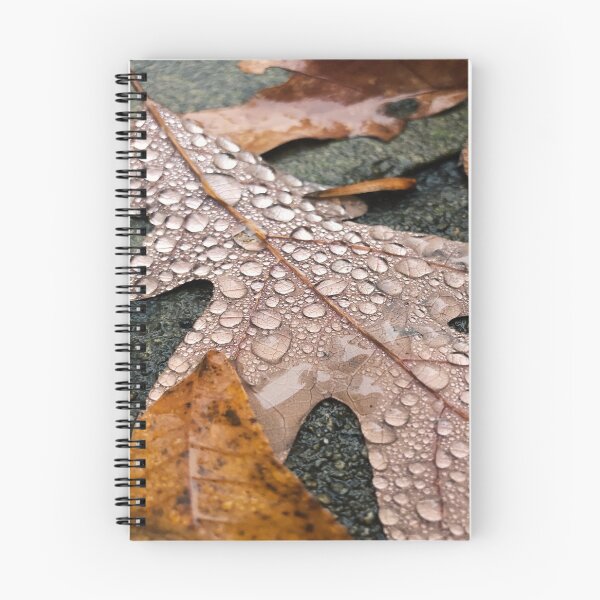 Item preview, Wet Autum Leaves  designed and sold by RobelLegesse.