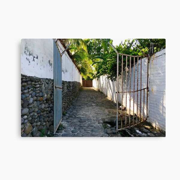 Item preview, Tropical Walkway designed and sold by Kimberly  Bizjak.