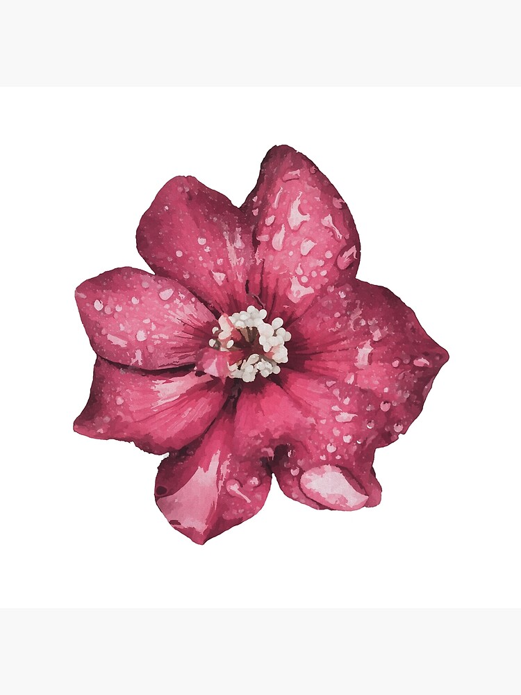 Bolsa de tela «Flor grande violeta rosa» de HAwarda | Redbubble