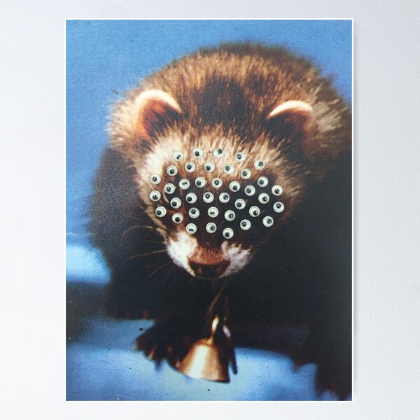 Item preview, Googly eyes Ferret designed and sold by Grace Martyn.