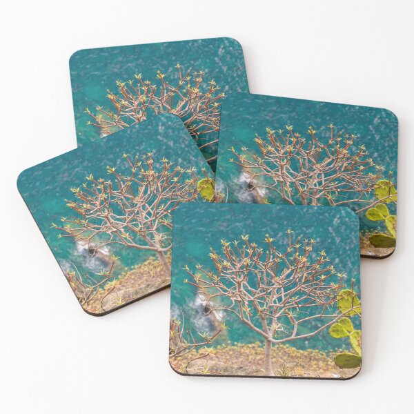 Item preview, Beautiful Euphorbia plant on stony cliff in Corniglia, Cinque Terre, Italy. designed and sold by H-AB.