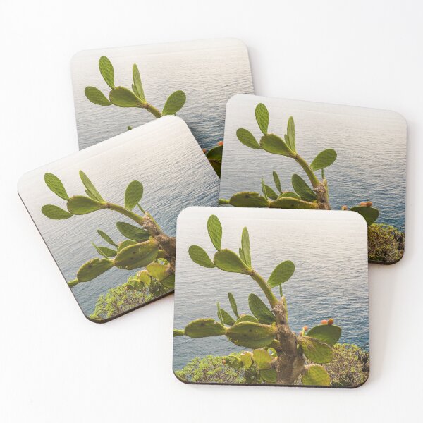 Item preview, A big prickly pear cactus plant (Opuntia) on a cliff in Corniglia and overlooking the Cinque Terre sea in Liguria, Italy. designed and sold by H-AB.