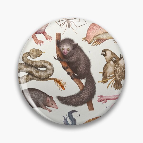 Item preview, Peculiar Land Creatures designed and sold by Cabinet Of Curiosities by Vlad.