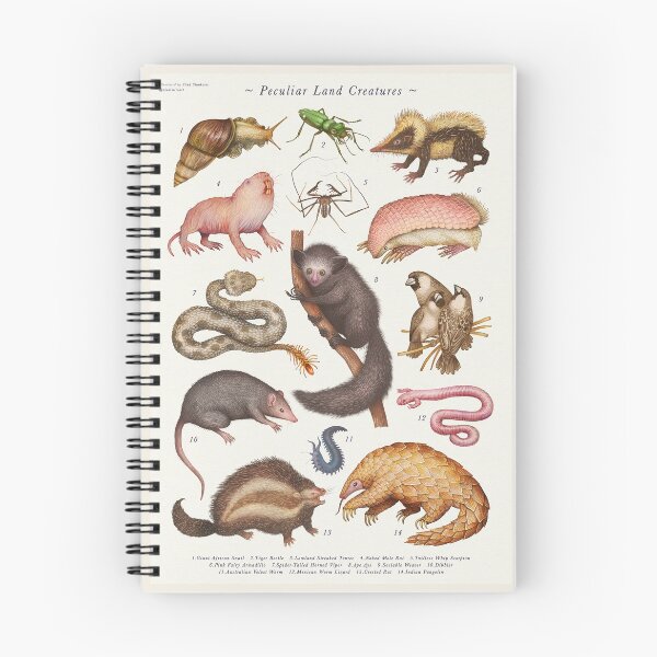 Item preview, Peculiar Land Creatures designed and sold by Cabinet Of Curiosities by Vlad.