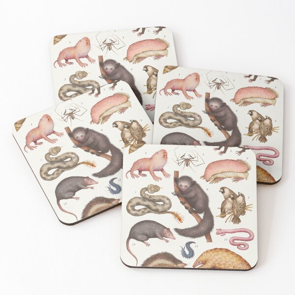 Item preview, Peculiar Land Creatures designed and sold by Cabinet Of Curiosities by Vlad.