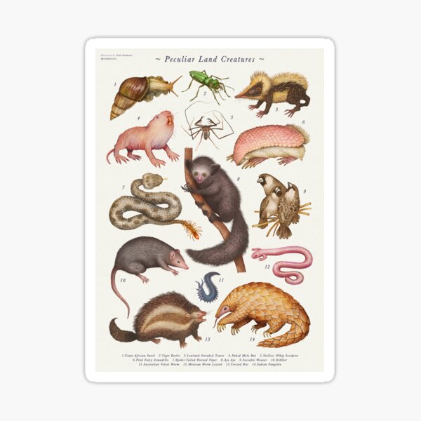 Peculiar Land Creatures Sticker