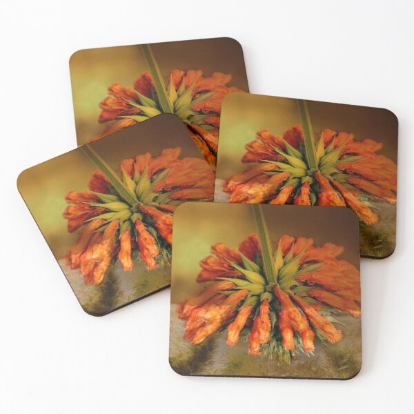 Item preview, The Flower That Fell to Earth  designed and sold by heatherfriedman.