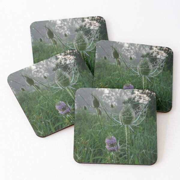 Item preview, Teasel and Lace designed and sold by AutumnHowl.