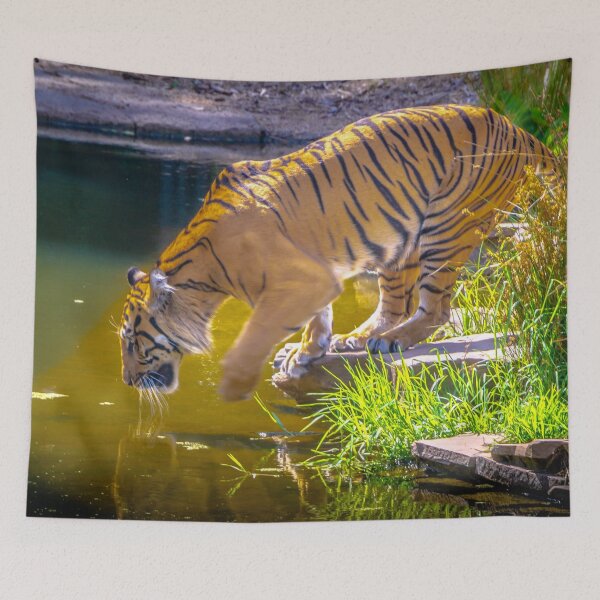 Item preview, Tiger Heading for a Swim designed and sold by Steven Jodoin.
