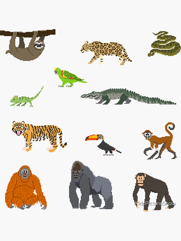 "Rainforest Animals - The Kids' Picture Show" Sticker for Sale by