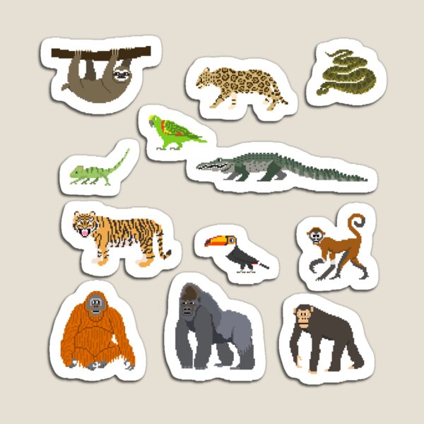 Vista previa del artículo con la obra «Animales de la selva tropical: el espectáculo de imágenes para niños», diseñado y vendido por KidsPictureShow.