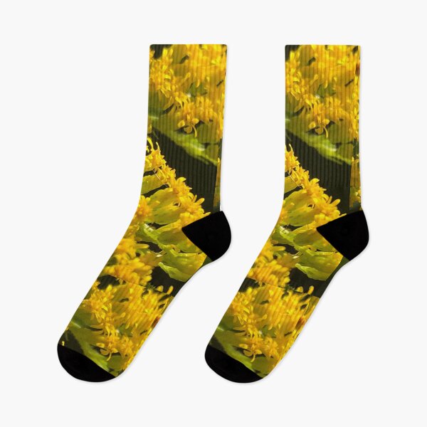 Item preview, Goldenrod Wild Yellow Flower designed and sold by Kaushal Pal.