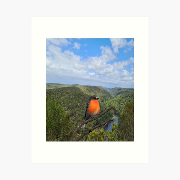 Item preview, australian wildlife designed and sold by virilamissa.