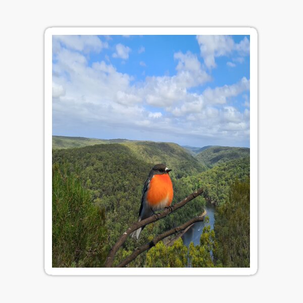 Aperçu de l'œuvre faune australienne créée et vendue par virilamissa.