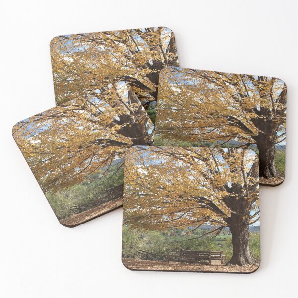 Item preview, Forever Autumn designed and sold by BJScott75.