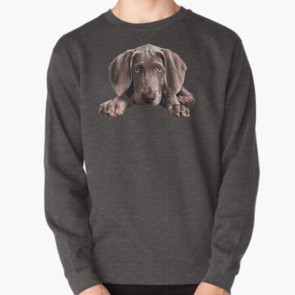 weimaraner sweater