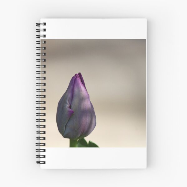 Item preview, Tulip bud designed and sold by elvines.