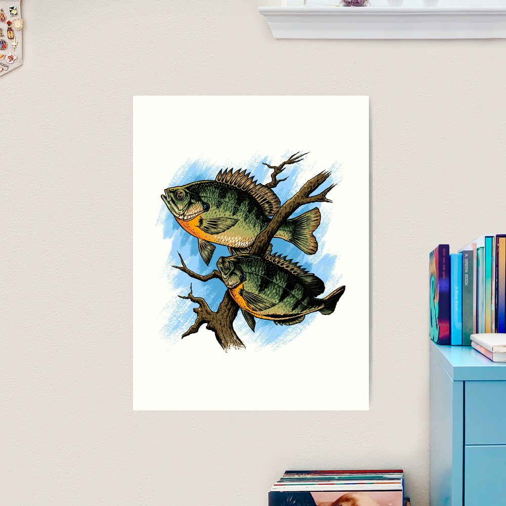 Bluegill Illustration Fishing Pullover design Art Print for Sale by
