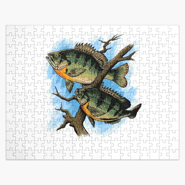 Bluegill Illustration Fishing Pullover design Jigsaw Puzzle for Sale by  jakehughes2015
