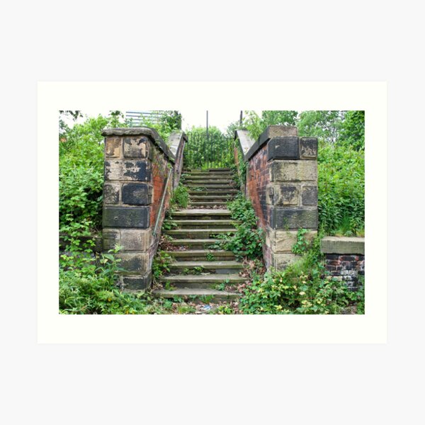 Steps to Nowhere Art Print