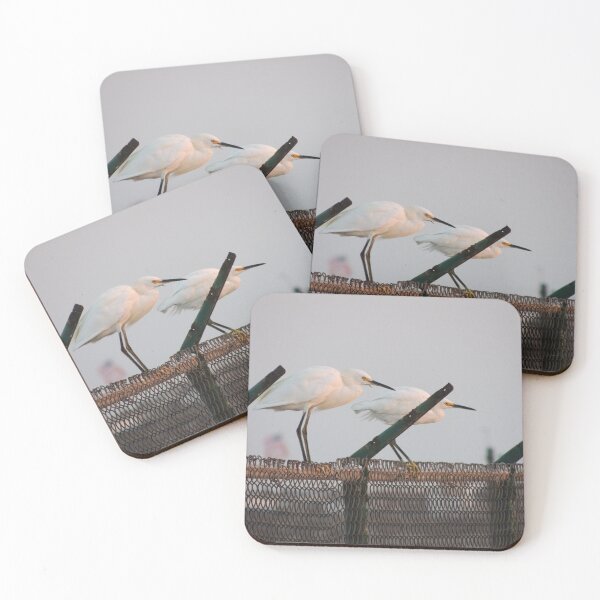 Item preview, Ready for Take Off designed and sold by Robert Ball.