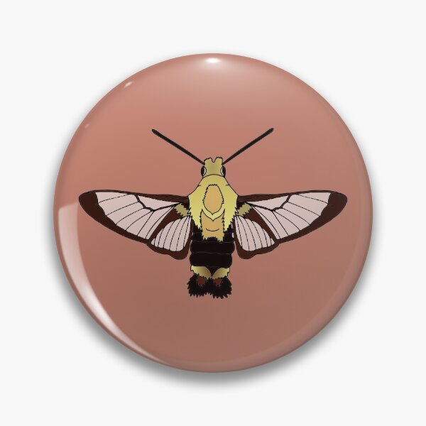 Snowberry Clearwing Pin