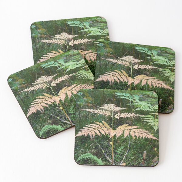 Item preview, The Coming Fall. Bracken designed and sold by Jouko Lehto Photography.