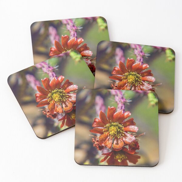 Item preview, USA. Arizona. Saguaro National Park. Red Cactus Flower. designed and sold by vadim19.