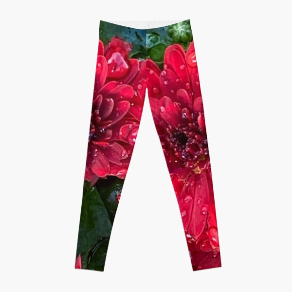 Envy Leggings (Red)