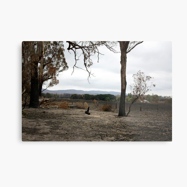 Bushfire Seaton Vic – Photo taken on 23 January 2013 Metal Print