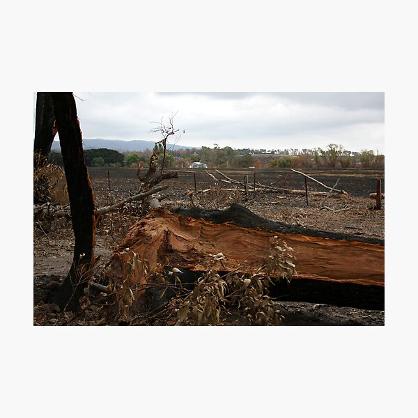 Bushfire Seaton Vic – Photo taken on 23 January 2013 Photographic Print