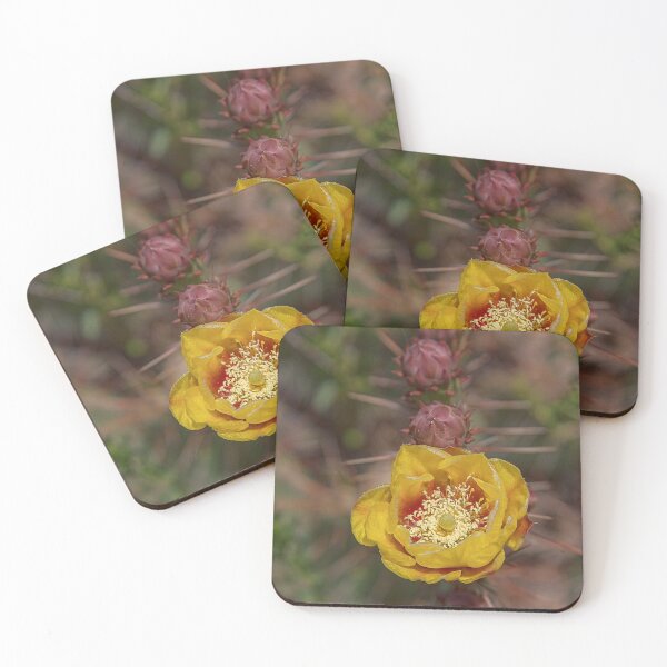Item preview, USA. Arizona. Saguaro National Park. Blooming Cactus. designed and sold by vadim19.