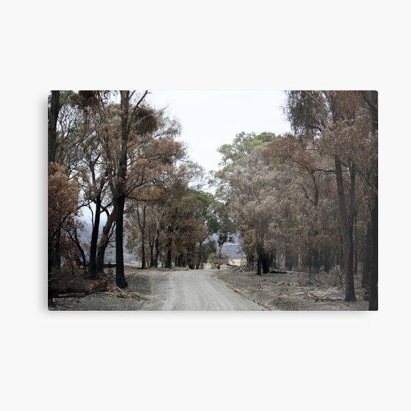 Bushfire Seaton Vic – Photo taken on 23 January 2013 Metal Print