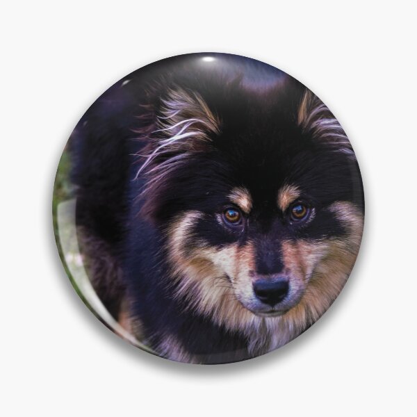Item preview, Finnish Lapphund designed and sold by AceheartArts.