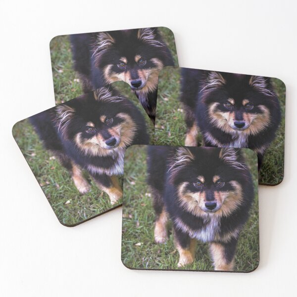 Item preview, Finnish Lapphund designed and sold by AceheartArts.