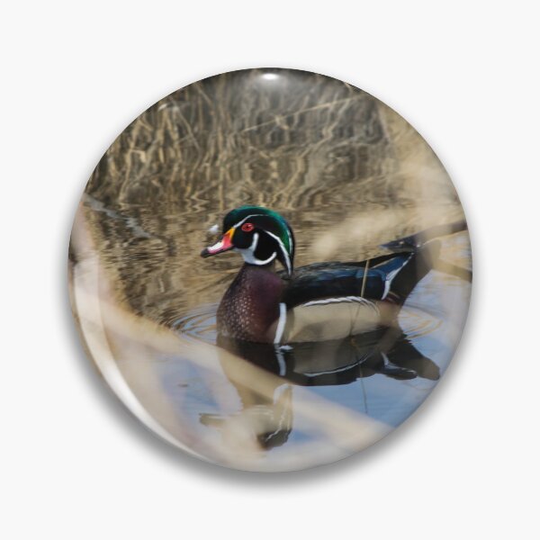 Item preview, Male Wood Duck. designed and sold by CanadianWild418.