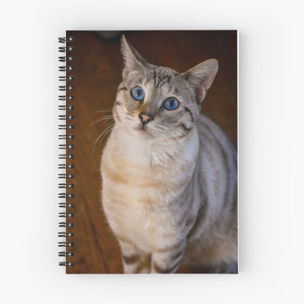 Item preview, Snow savannah cat designed and sold by AceheartArts.