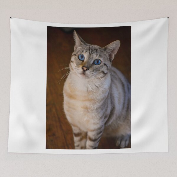 Item preview, Snow savannah cat designed and sold by AceheartArts.