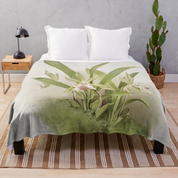 Item preview, Reichenbachia: Orchids Illustrated and Described designed and sold by EsotericBotanic.