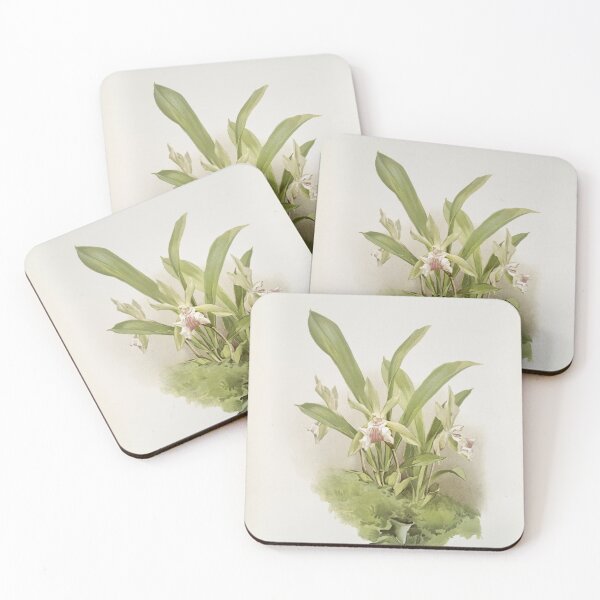Item preview, Reichenbachia: Orchids Illustrated and Described designed and sold by EsotericBotanic.