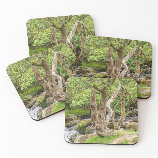Item preview, Ceunant Mawr, Llanberis water fall, North Wales designed and sold by yackers1.